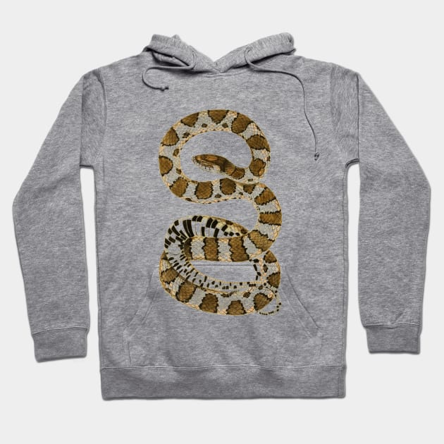 serpent,cobra,reptile,viper,venom,lizard,rattlesnake,king cobra,dragon,hydra,poison,venomous,plumber's snake,pythonidae,pythons,auger,python,squamata,serpentine,worm,big,ophidian,rattlesnakes,medusa,snakebite Hoodie by vabontchi